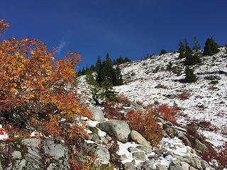 Snow covering some of the fall color.