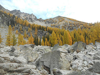 Larches low on Cardinal