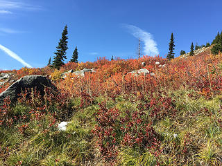 Some more fall color on way down.