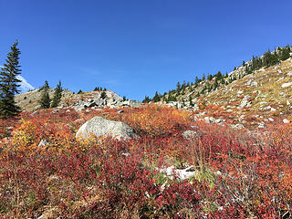 Some more fall color on way down.