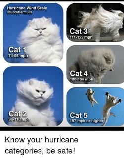 hurricane-wind-scale-look-bermuda-cat-1-