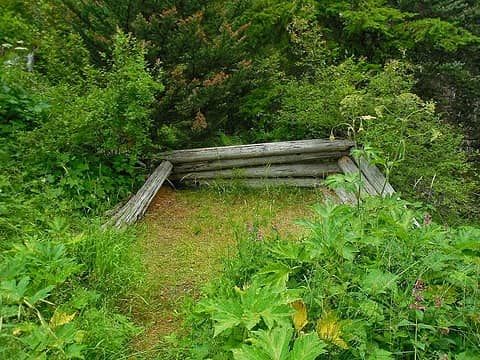 Remains of Shelter near the Cameron Creek-Grand Pass trail juncture, 20 Jul 2014