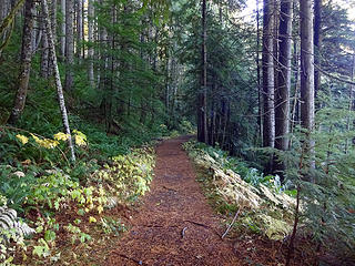 McClellan Butte Trail.