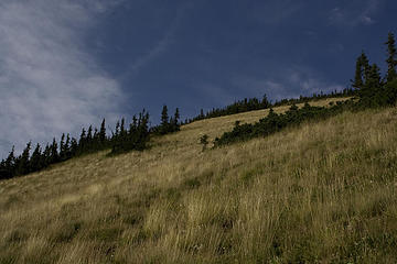 Looking up the grassy slope below Rock Mt