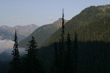 The Dose River Valley, Olympic National Park, Washington.