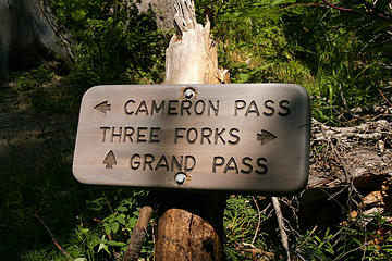 Junction for Cameron Basin, Olympic National Park, Washington.