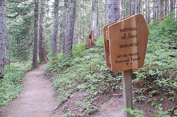 Forested trail, NVM - GPNF