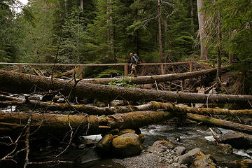 Cole crosses the Grey Wolf River, Olympic National Park, Washington.