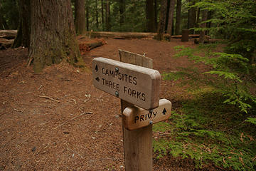 Junction with Three Forks at Grey Wolf River, Olympic National Park, Washington.