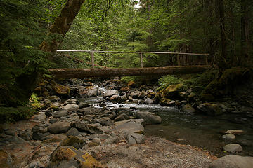 Creek crossing at Three Forks, Olympic National Park, Washington.