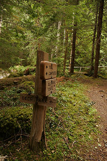 Junction with Deer Park Trail, Grey Wolf River Valley, Olympic National Park, Washington.