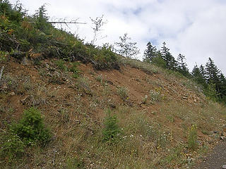 Area where rocks came from on slide.