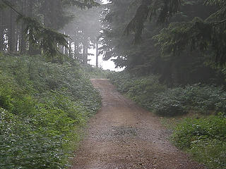 Last steeper road section to East Tiger summit.