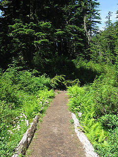 Summit Lake Trail