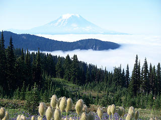 Mount Adams view from camp