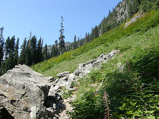 Snow Lake trail crosses one of several more open areas.