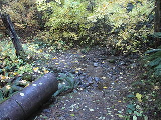 washout and culvert on old roadbed