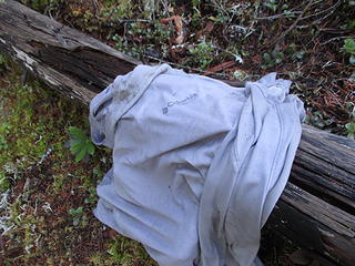 This Tee-shirt, abandoned in a random clearing,  shows that I haven't been the only traveler here. No bones nearby, fortunately.
