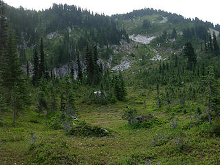 Large meadow (with avalanche gully)
