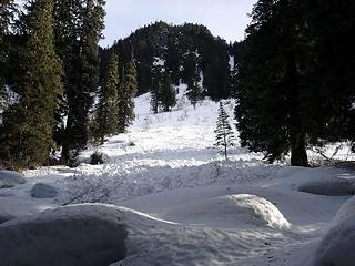 One of many, many old avalanches