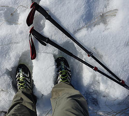 Go to shoes. Hokaa Speedhikers worked well in the snow, slush, ice, and mud.