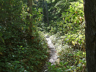 upper Dungeness trail