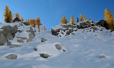 Larches on the crest above Inspiration