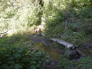 One of the small creek/water crossings on trail.