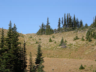 Views arriving at basin just below Marmot Pass.