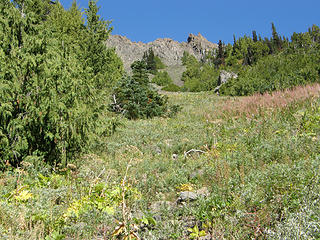 Views as trail to Marmot Pass opens up more.