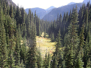 Views back down valley nearing Marmot Pass.