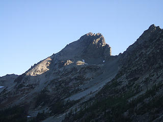 7 Fingered Jack in morning shadow