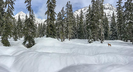 snow pillows and ruby tracks in commonwealth basin