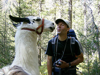 MM gets fresh w/one of the llamas