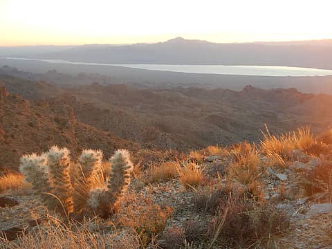 Lake Mojave