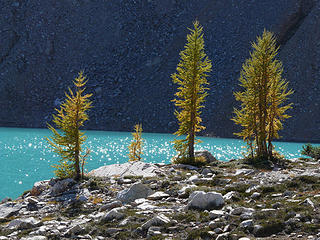 Larches and Wing Lake