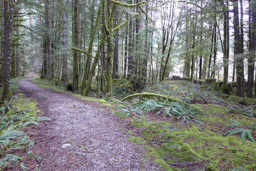On the right is the old railroad grade heading straight to the river. The picnic site trail continues left.