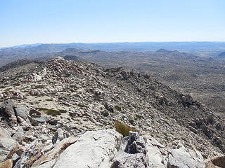 View south atop summit.  Dark plateau is Table Mtn.
