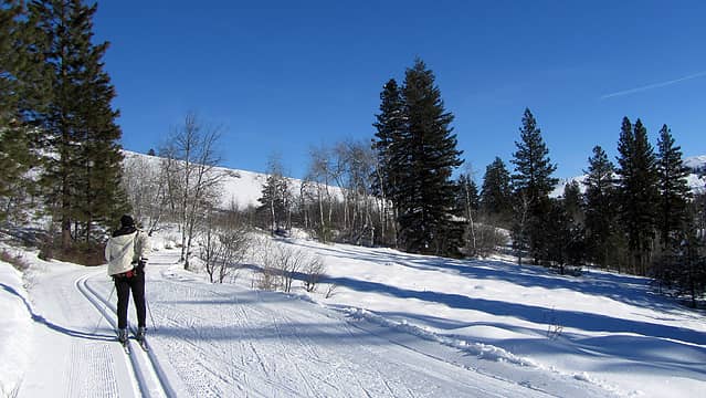 skiing sunnyside trail
