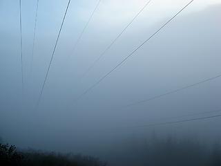 Power lines in the fog