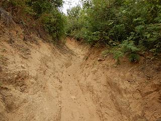 trail trench