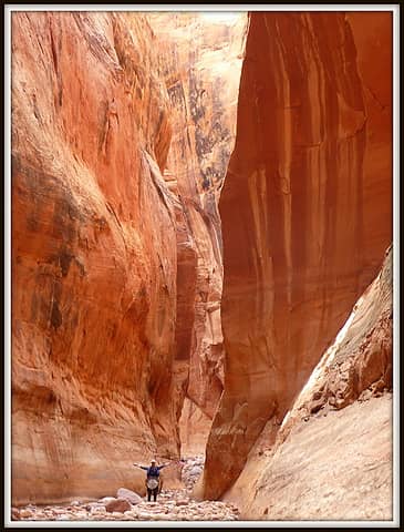 Secret Canyon Narrows, while short lived, are reminiscent of Buckskin Gulch.