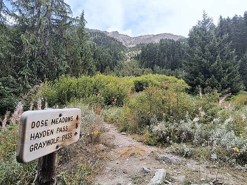 trail junction to gray wolf pass