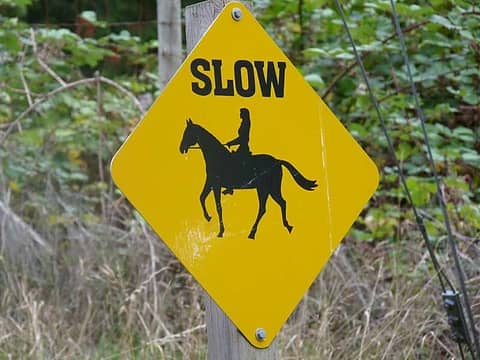 Slow horses . . . not slow children