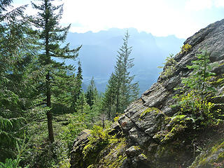 This is where the trail leaves the cliff band and descends quickly through the forest down to Barclay Creek