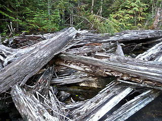 The log jam across Barclay Creek