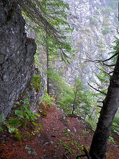Note the pink flagging indicating that yes, indeed, the route dives down into the steep rocky gully.