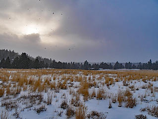 Riley Ranch nature reserve, Bend OR, 2/22/18