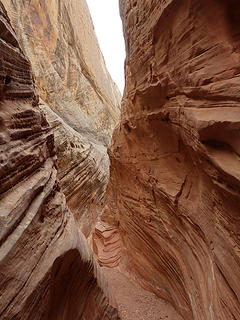 I really love this canyon.  Capitol Reef N.P.