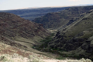 Looking East down Brushy Creek towards the Columbia River. The Gorge Amphitheater is across the river in the distance.